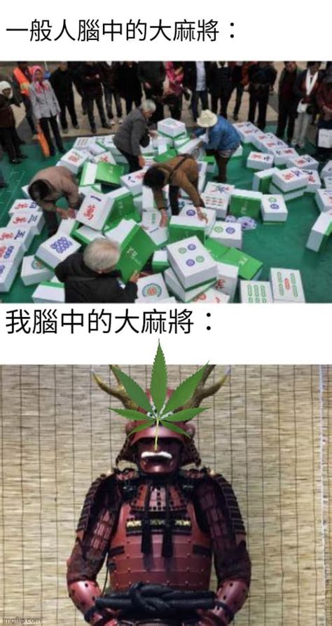 打麻將 梗圖|大麻將